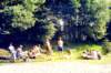 1976PWKlangdorp009_small.jpg