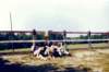 1976PWKlangdorp010_small.jpg