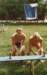 1986PWKWell009_small.jpg