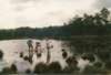 1989PWKAlphen008_small.jpg