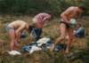 1989PWKAlphen009_small.jpg