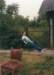 1990PWKRaar052_small.jpg