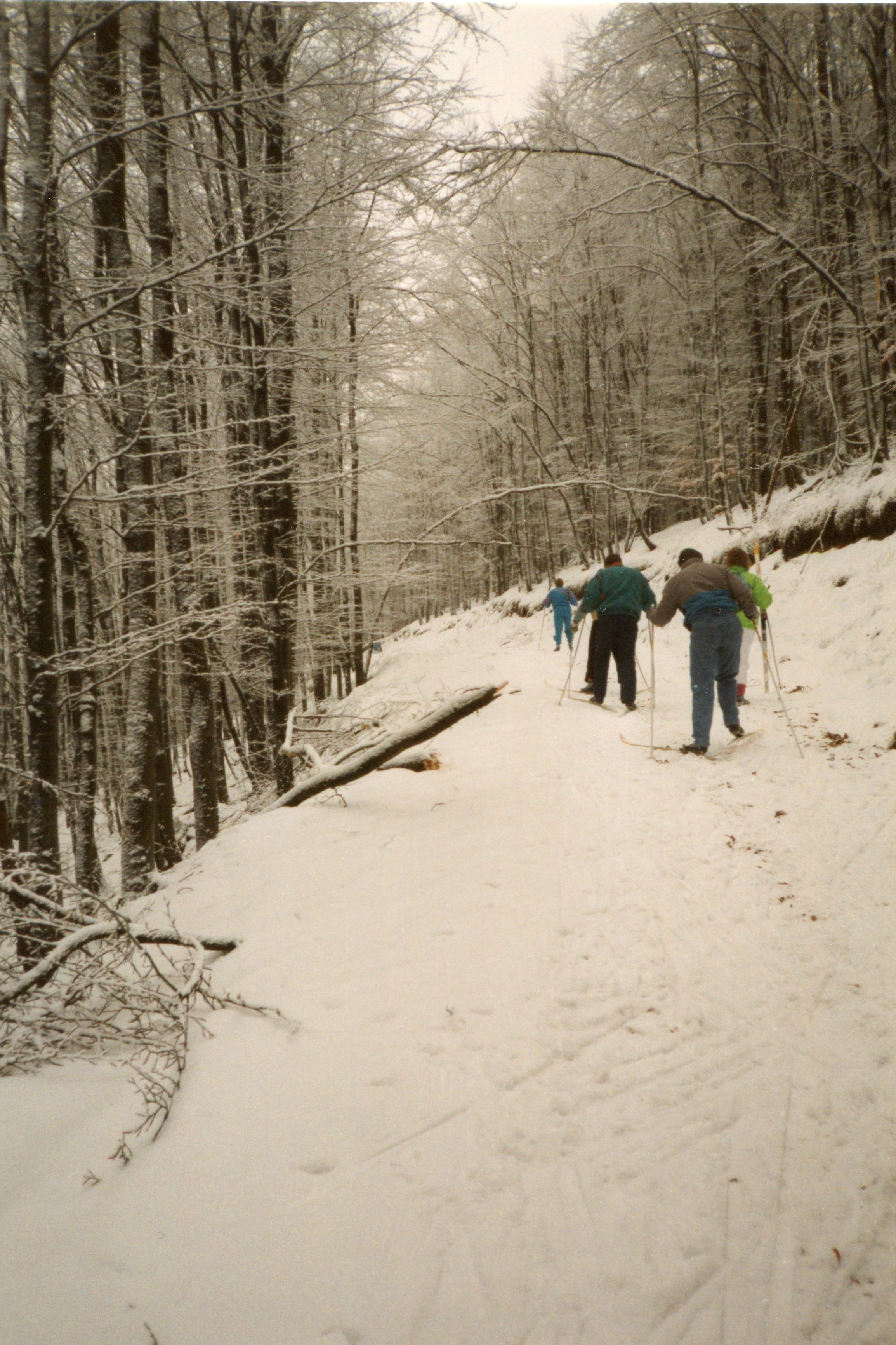 1991ALWBodefeld007.jpg