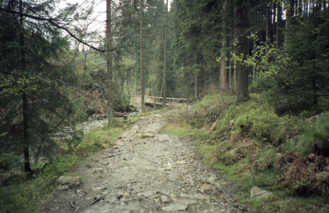1991PWKArdennen032.jpg