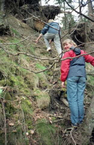 1991PWKArdennen039.jpg