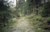 1991PWKArdennen032_small.jpg