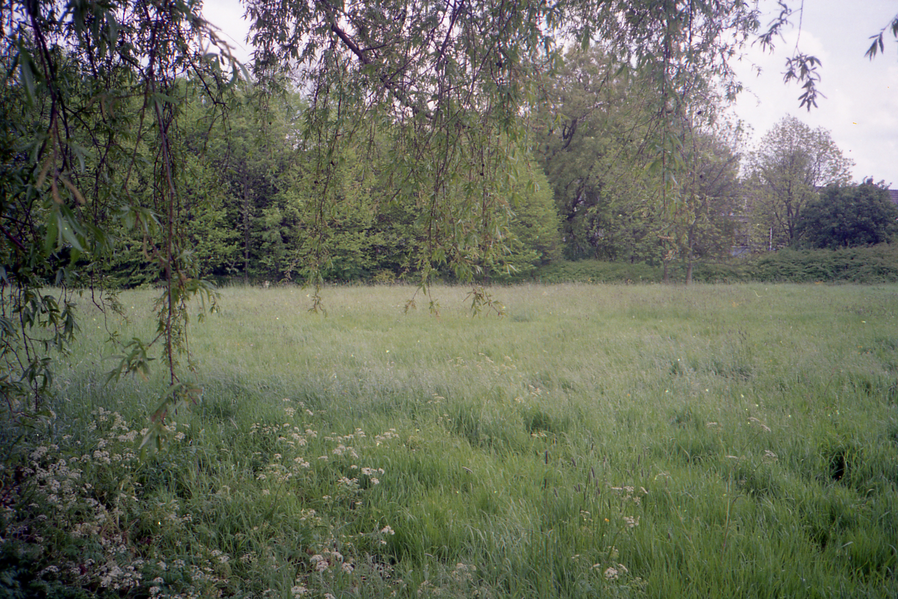 Bouwwilgenplasplein002.jpg