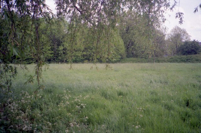Bouwwilgenplasplein002.jpg