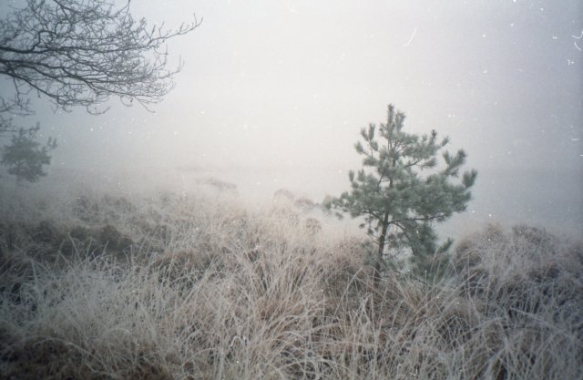 NWKBoxtel011.jpg