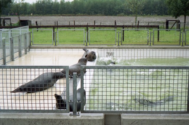 ALWGroningen028.jpg
