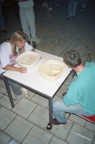 PWKBakkeveen023.jpg