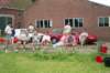 PWKBakkeveen044_small.jpg