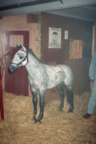 Themaavonden031.jpg