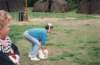 PWKBorculo045_small.jpg
