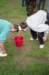 PWKBorculo046_small.jpg