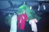 Amazingmeezing009_small.jpg
