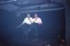 Amazingmeezing011_small.jpg