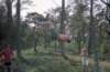 PWKDiever023_small.jpg