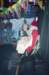 Sinterklaas005_small.jpg