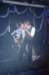 Amazingmeezing013_small.jpg