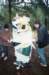 NWKGemert014_small.jpg