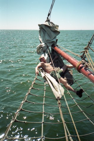 Zeilen037.jpg