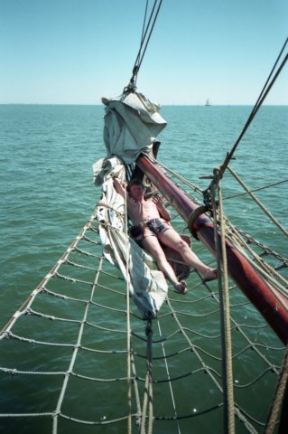 Zeilen038.jpg