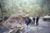 ALWArdennen012_small.jpg