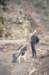 ALWArdennen027_small.jpg