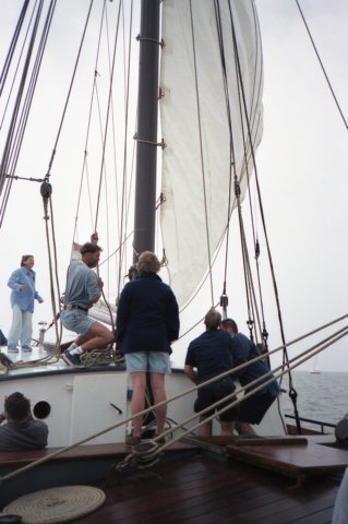 Zeilen005.jpg