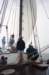 Zeilen005_small.jpg