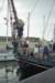 Zeilen015_small.jpg