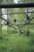 sportenbergsebos010_small.jpg