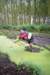 sportenbergsebos014_small.jpg
