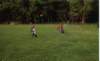 hwkansen016_small.jpg