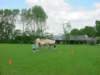 PWKBoxtel036_small.jpg