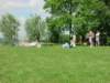 PWKBoxtel051_small.jpg