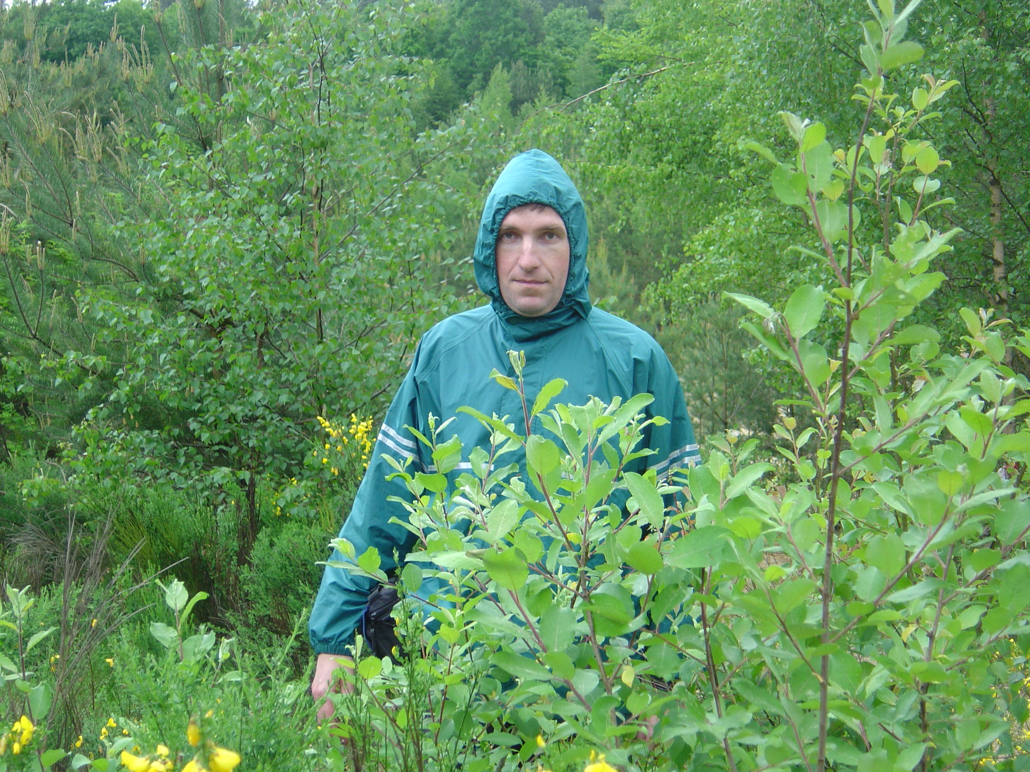 2004HWK033.jpg