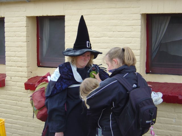 2004HWK017.jpg