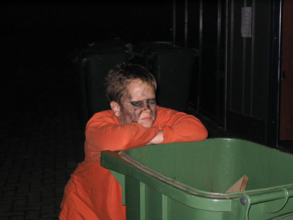 2004Koninginnedag017.jpg