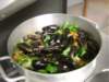 2004Mossel11_small.jpg