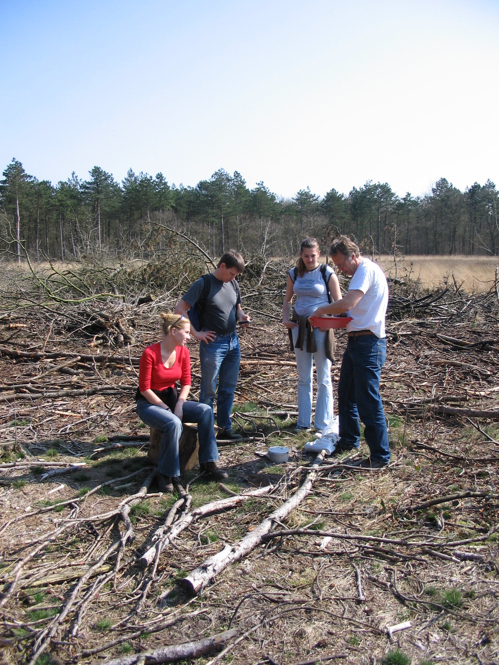2005HWK2.jpg