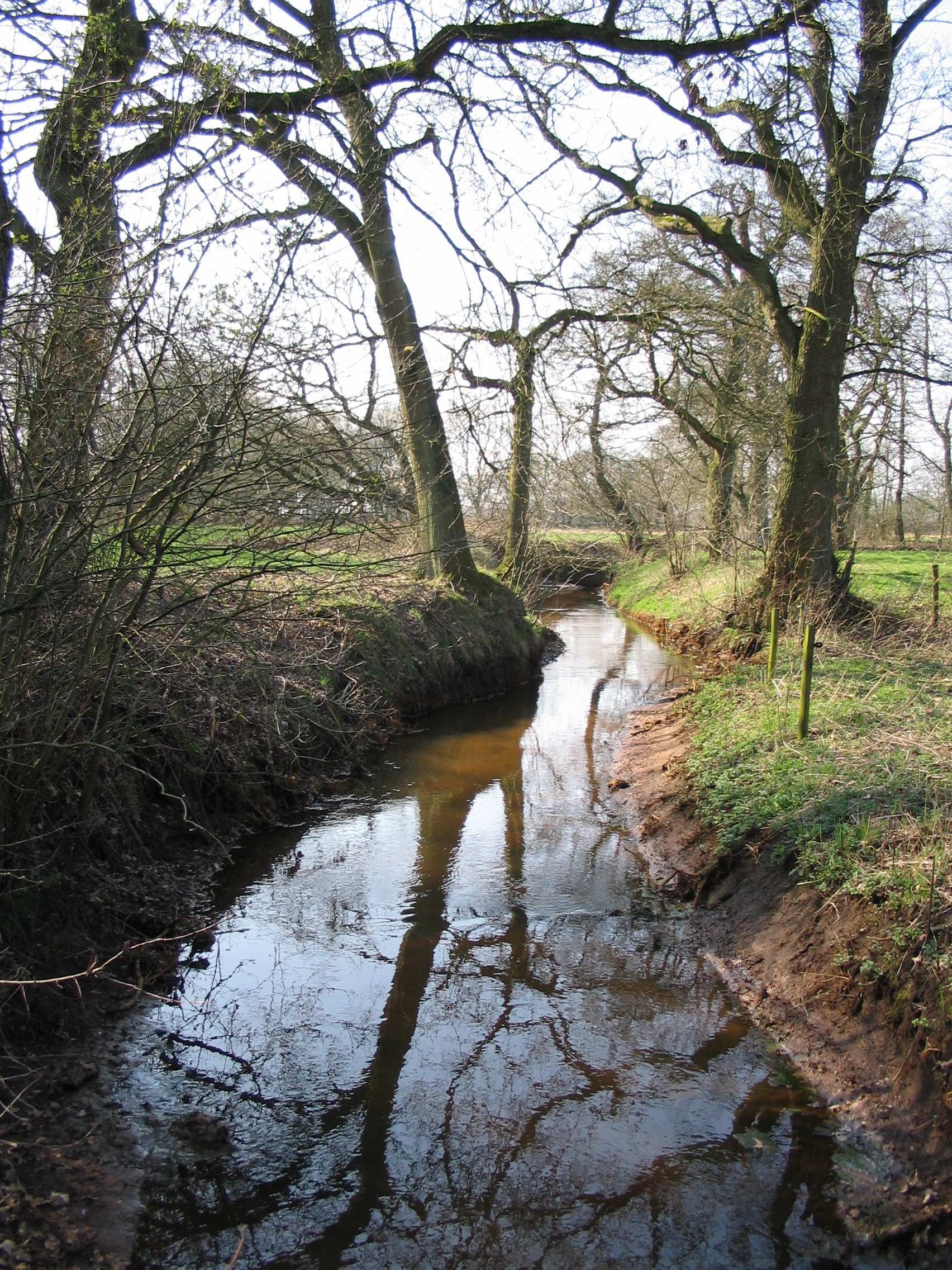 2005HWK3.jpg