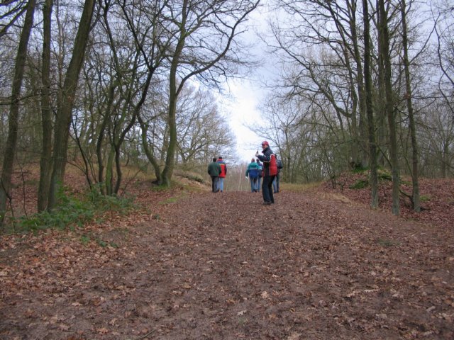 2005NWK11.jpg