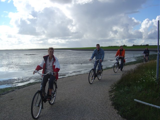 2005Zeilen12.jpg