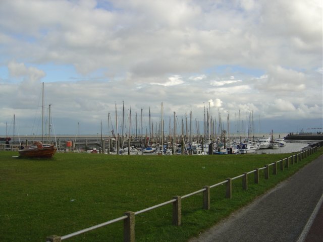2005Zeilen13.jpg