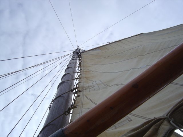 2005Zeilen29.jpg