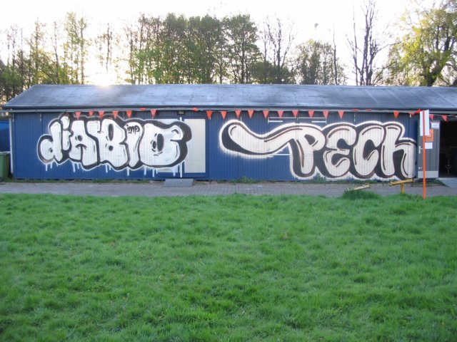 2006Koninginnedag1.jpg