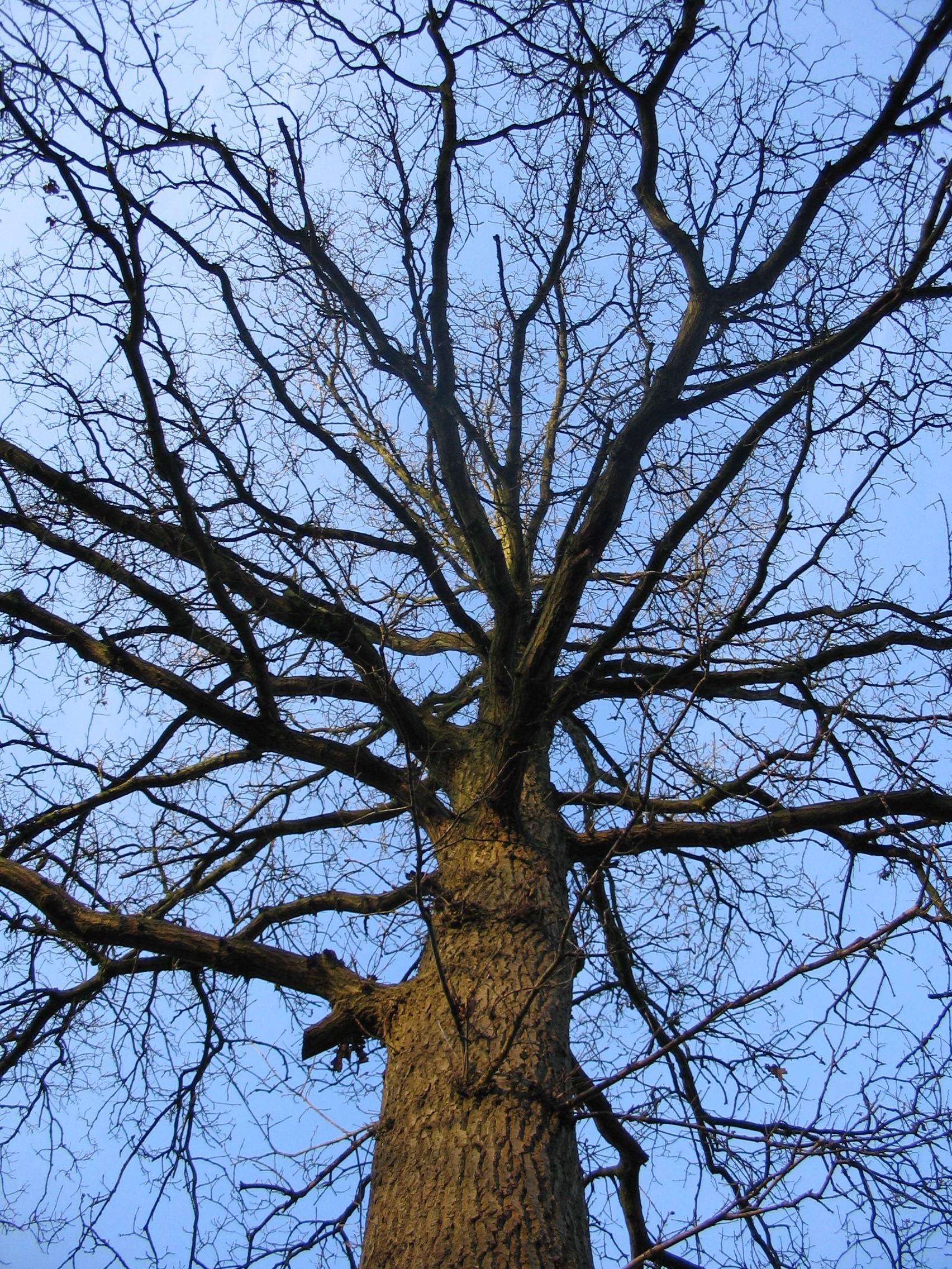 2006NWK19.jpg