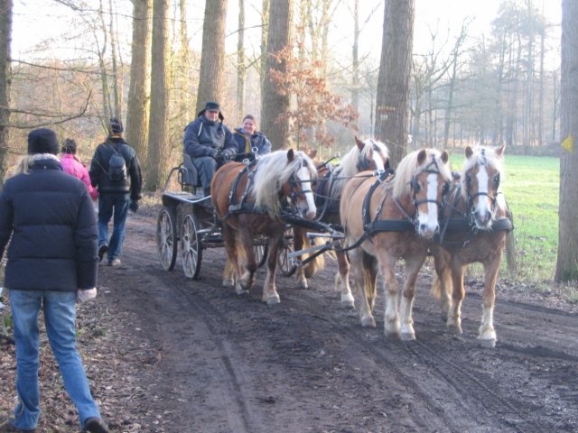 2006NWK20.jpg